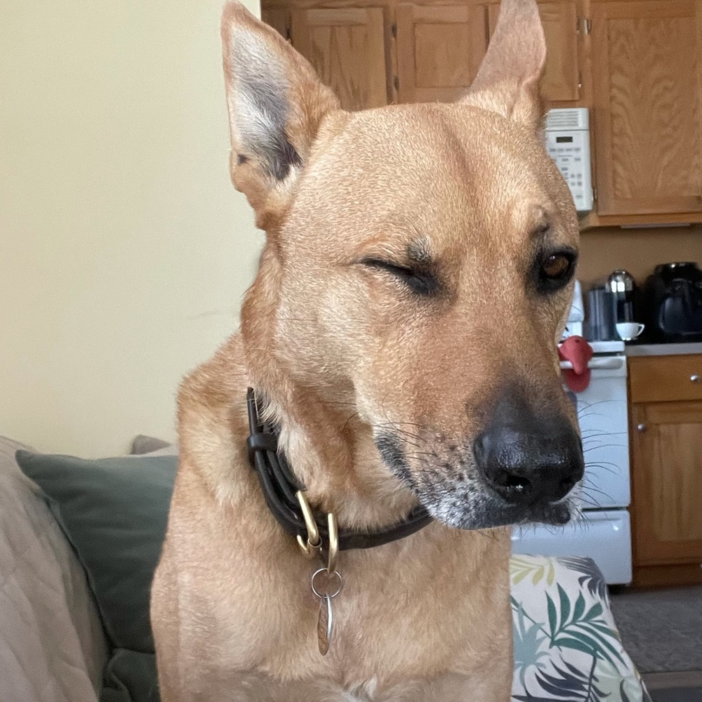 Meet your Posher, Eduarda